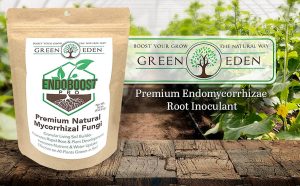 EndoBoost Pro | GreenEden Natural Plant And Soil Care